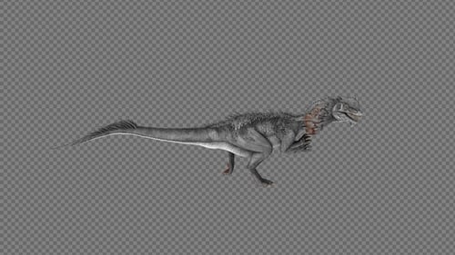 Dilophosaurus Dinosaurier-Laufpaket 4IN1