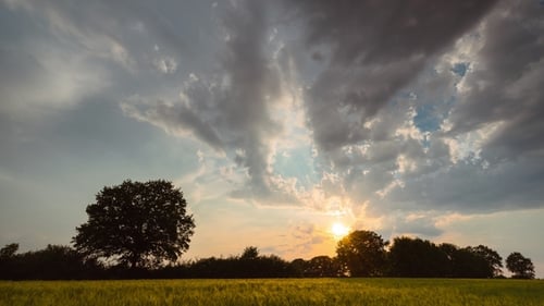 Golden Sunset Over Wheat Field with Dramatic Clouds
