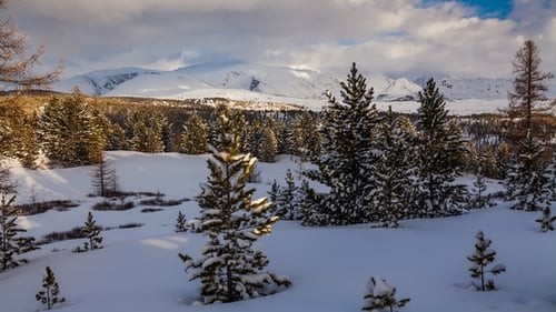 Snowy Winter Landscape with Trees and Mountains