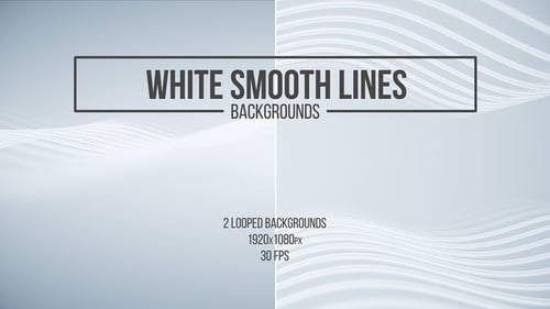 Smooth White Wavy Lines Abstract Clean Background Loop