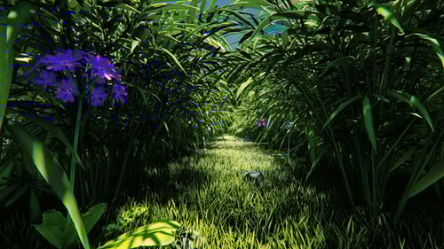 Movimento da Floresta