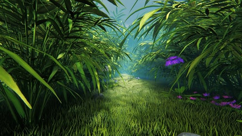 Tropical Forest Movement