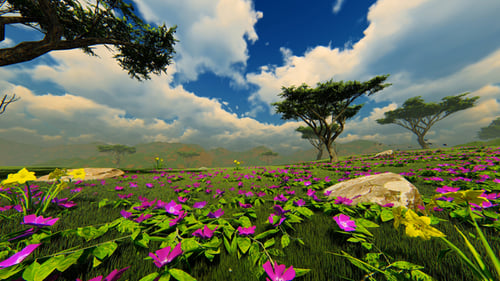 Green Field With Beautiful Pink Flowers And Fog