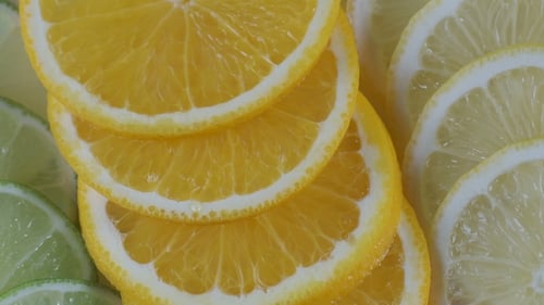 Fresh Lemon, Lime and Orange Fruit Slices
