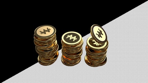 South Korean Won Coins