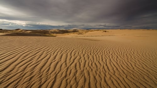 Sunset Over the Sand Dunes in the Desert