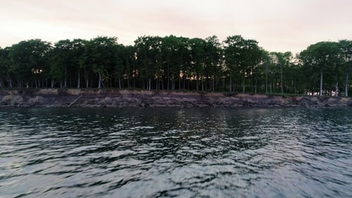 Gentle Waves Meet Forest Shoreline at Sunset