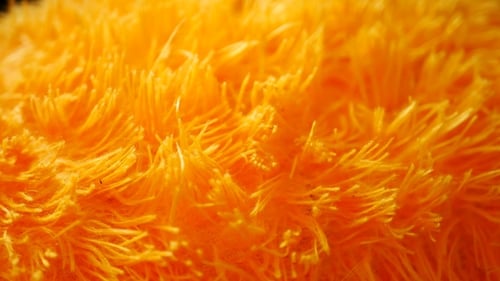 Close Up of Orange Textured Furry Fabric
