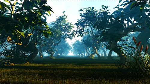 Movement In The Forest