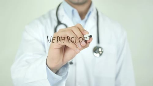 Nephrologist, Doctor Writing on Transparent Screen