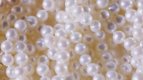 Heap of Beautiful Round White Pearl Jewelry