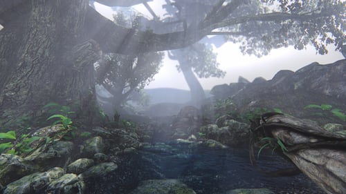 Forest