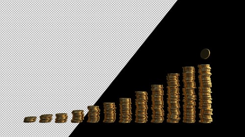 Financial Infographic With Coins