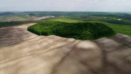 Space Landscape View of Mystical Green Trees Island on a Field