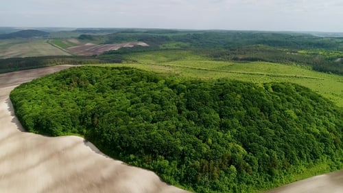 Beautiful Space Landscape. Aerial View of Mystical Green Trees Island on a Field