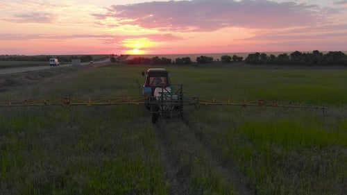 Aerial View of an Irrigated Field Tractor with Fresh, Young Potatoes at Sunset