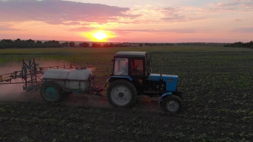 Vista aérea de um trator de campo irrigado com batatas frescas e jovens ao pôr do sol