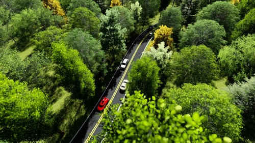 The Road