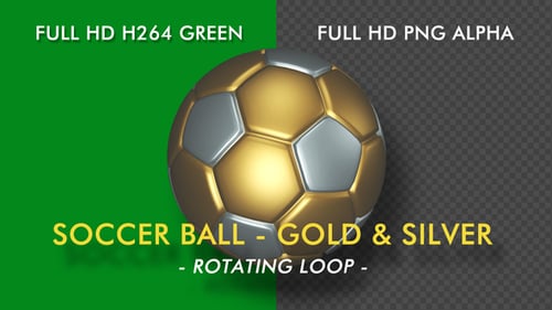 Soccer Ball - Gold and Silver - Rotating Loop