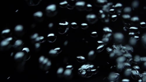 Clear Water Bubbles Rising on Dark Background