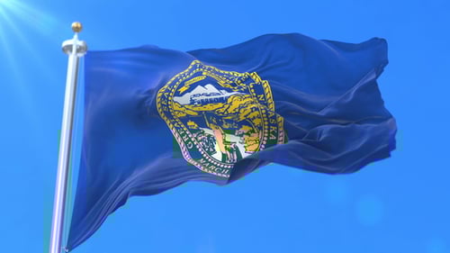 Nebraska State Flag Waving in Realistic 3D Animation