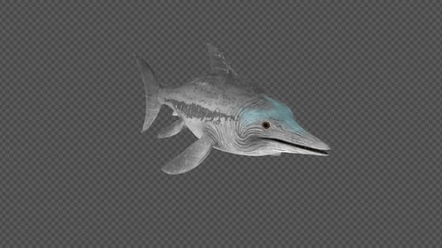 3D Ichthyosaur Prehistoric Marine Reptile Swimming Animation Loop