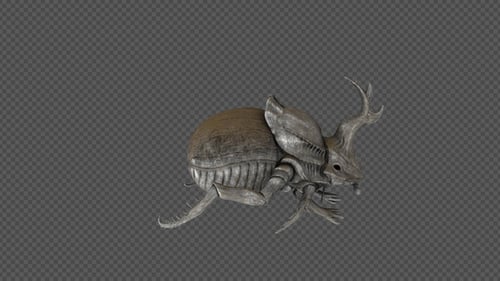 Realistic 3D Rhinoceros Beetle Walking on Transparent Background