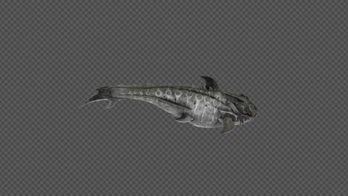Dunkleosteus Bite Pack 4 en 1