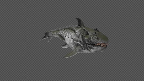3D Animated Dunkleosteus Prehistoric Fish Seamless Loop Alpha Channel