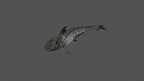 Pack de natación Dunkleosteus 4 en 1