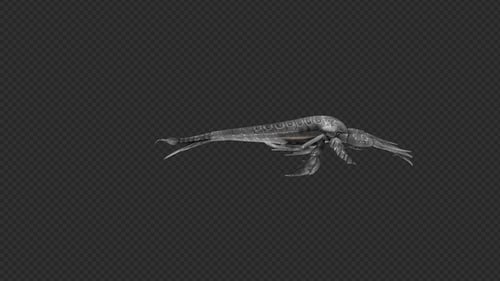 Eurypterid Attack Claw Pack 4In1
