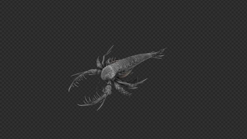 Eurypterid Badepaket 4in1