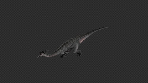 Gallimimus Run And Swim 12 en 1