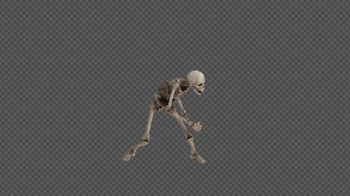 Skeleton Attack Pack 12 en 1