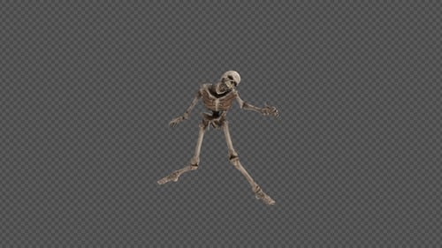 Skeleton Idle Pack 12 In 1
