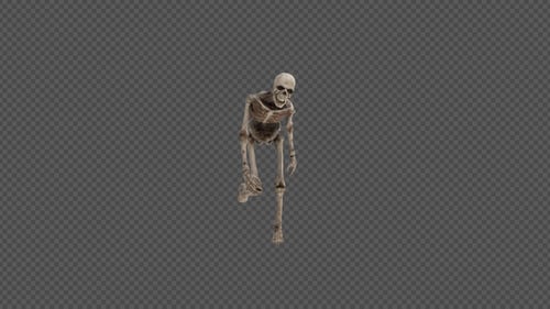 Skeleton Run Walk et Passout Pack 12 en 1