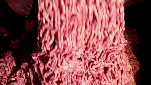 Processing Lard or Meat in Minced Meat on a Huge Meat Grinder at a Meat Factory
