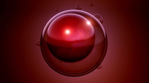 Girar divisão celular