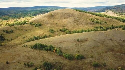 Drohnen-Luftaufnahme: Fliegen über Frühlingsberge, Hügel und Wiesen mit Kiefernwäldern in der Sonne