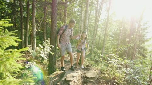 A Young Couple Travels Along a Picturesque Place in the Forest, a Man Helps a Woman To Walk Along
