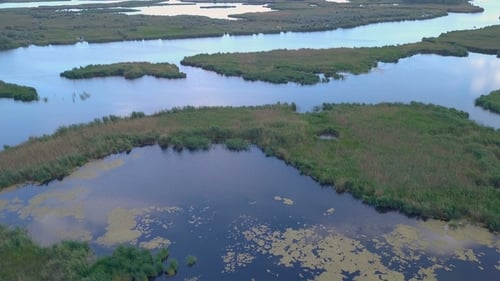 Aerial View of Lake