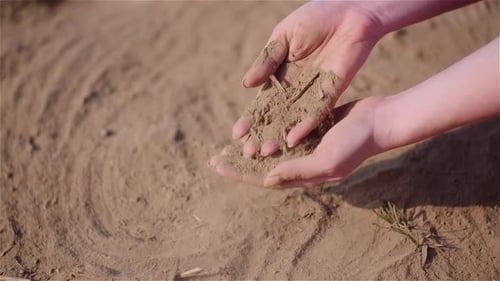Farmer Touching Dirt in Hands Pouring Organic Soil