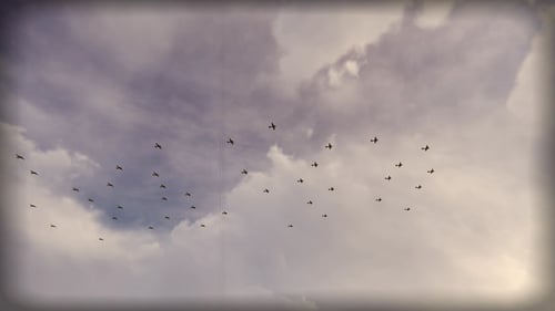 Aviones bombarderos
