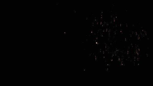 Fireworks Flashing in the Night Holiday Sky