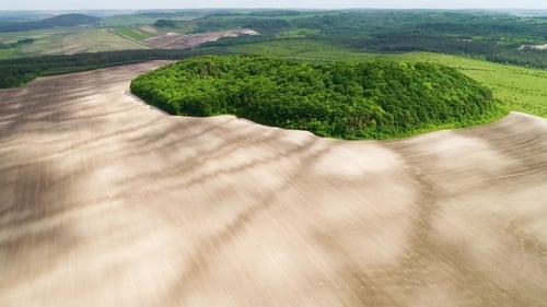 Bela paisagem espacial. Vista aérea da ilha de árvores verdes místicas em um campo