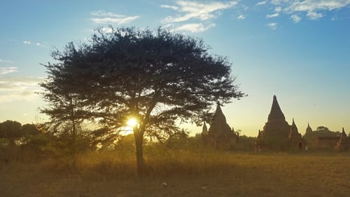 Silhouette des temples et de l'arbre à Bagan au coucher du soleil