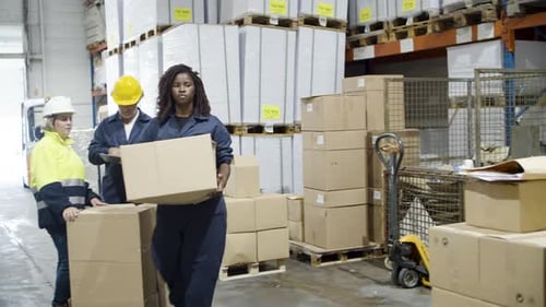 Focused African American Female Employee Working in Warehouse