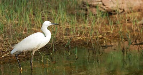 Goa Indien