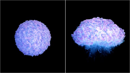 Abstract Fluid Smoke Burst Reveal Animation
