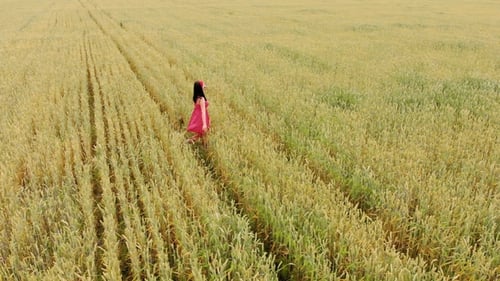 Beautiful Girl in Red Retro Dress Running in Golden Field. Freedom Concept. Happy Woman Outdoors